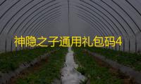 神隐之子通用礼包码4