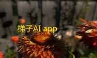 梯子AI app